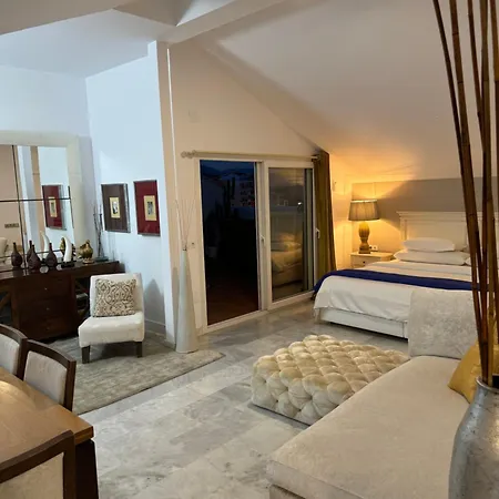 Banus Hause Lejlighed *